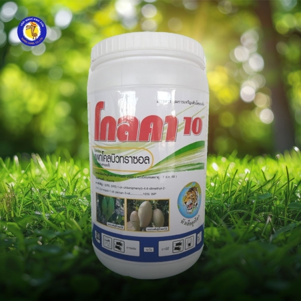 โกลคา10