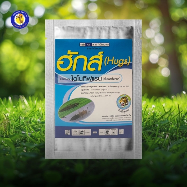 ฮักส์