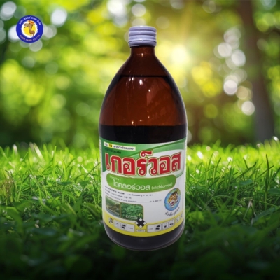 เกอร์วอส