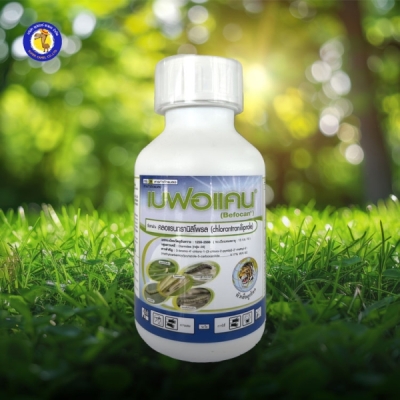 เบฟอแคน