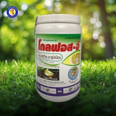 โกลฟอส-อี