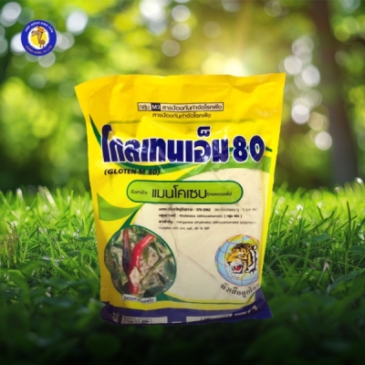 โกลเทนเอ็ม80
