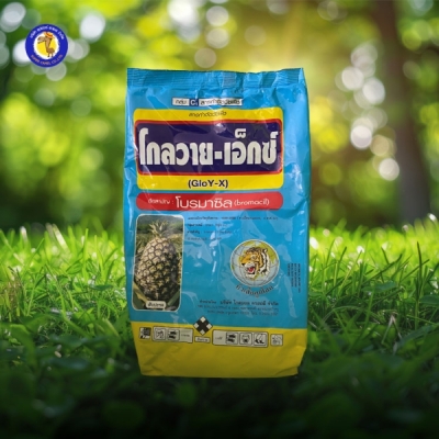 โกลวาย-เอ็กซ์