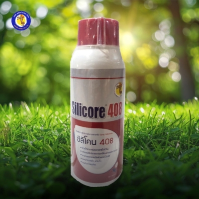 ซิลิโคน408