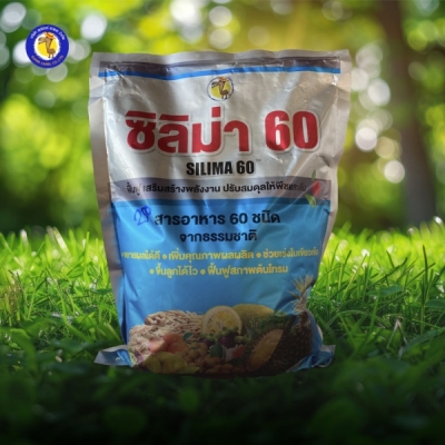 ซิลิม่า60