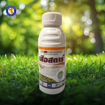 เสือสตาร์